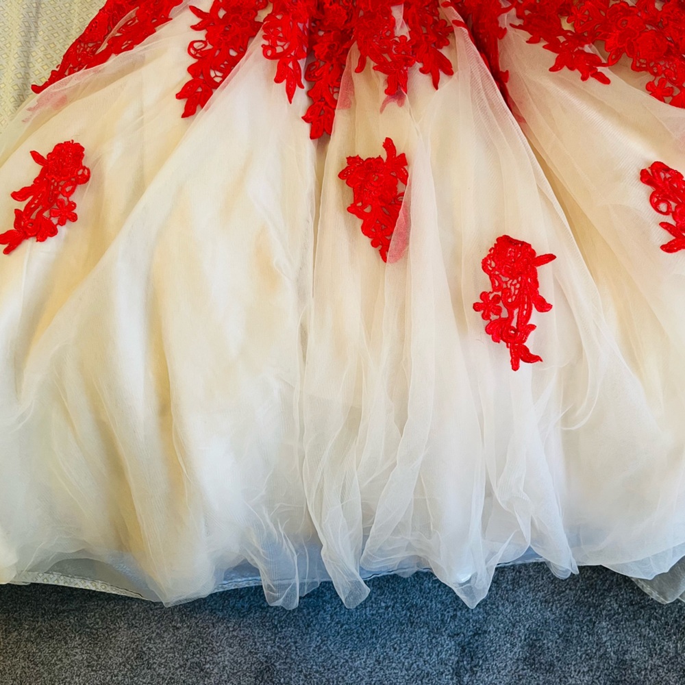 Prom Dresses - Picture 3 of 4